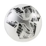 Puma Big Cat Ball