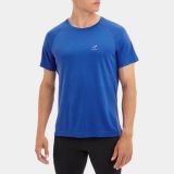 Energetics Martin Royal