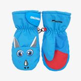 Wintro Ski Gloves