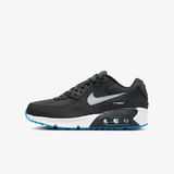 сива