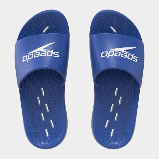 Speedo One Piece Am