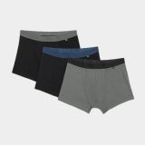 4F Boxer