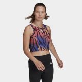 adidas Anml Crop