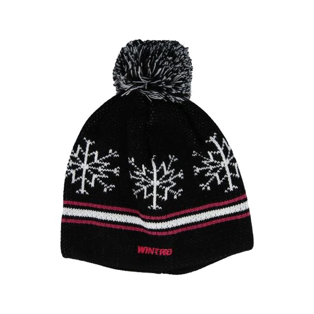 Wintro Snowflake