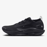 Nike Pegasus Trail 5 Gore Tex