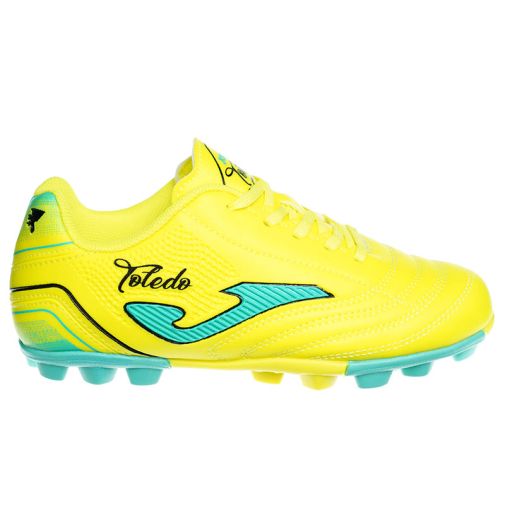 Joma Toledo Jr Hg