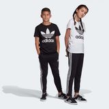 adidas Trefoil