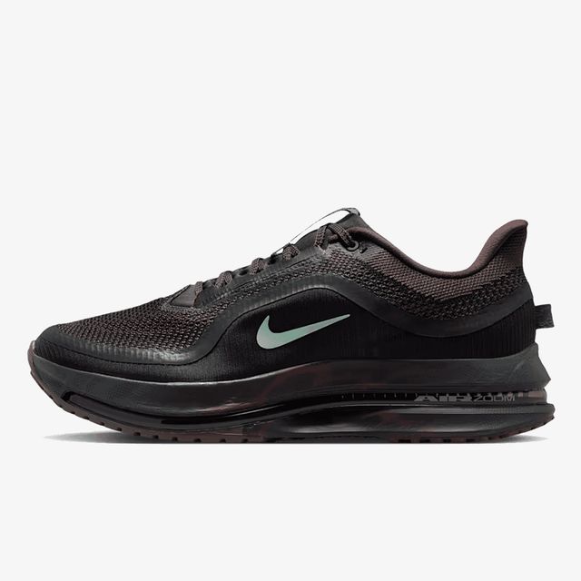 Nike Pegasus Premium