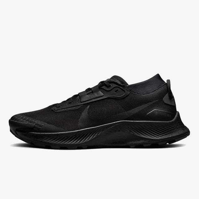 Nike Pegasus Trail 3 Gore Tex