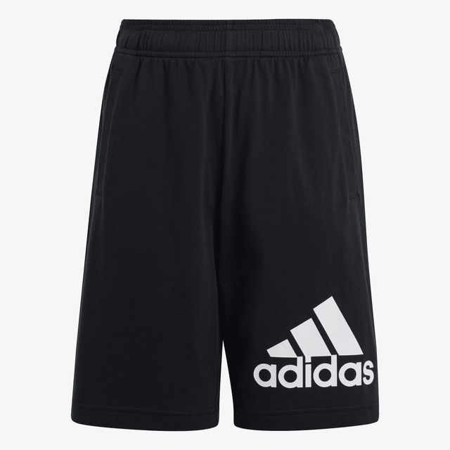 adidas Essentials Big Logo