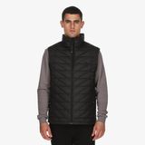 Mont Vest