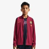 Nike Fcb Ynk Df Acdpr Trk K
