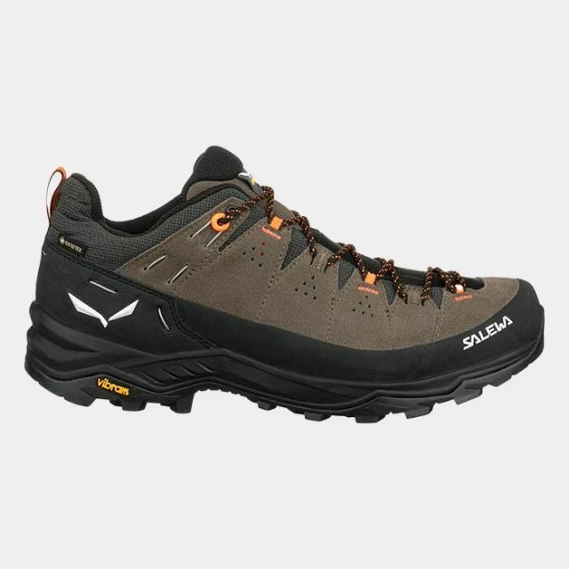 Salewa Alp Trainer2 Gtx Bunge