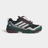adidas Terrex Skychaser GTX