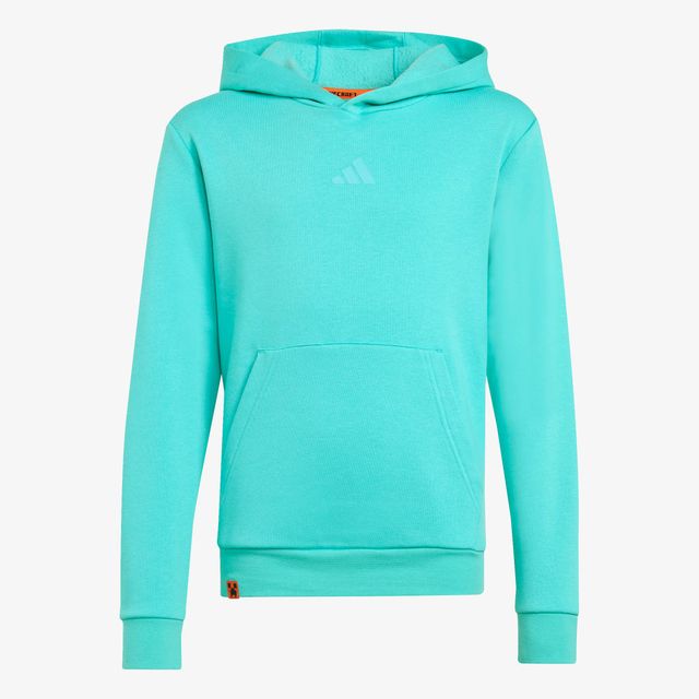 adidas Minecraft Terrex