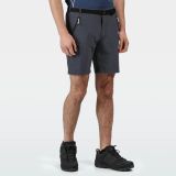Regatta Xert Strshort III Seal