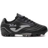 Joma Toledo Jr Hg