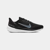 Nike Air Winflo 9
