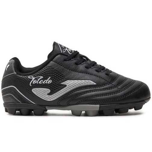 Joma Toledo Jr Hg