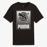 Puma Graphics