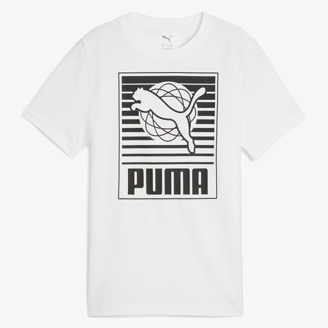 Puma Graphics