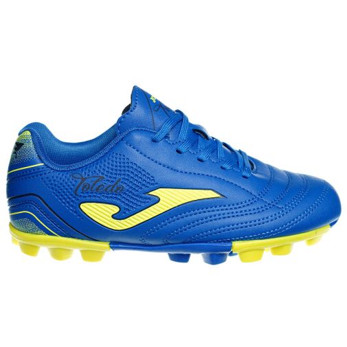 Joma Toledo Jr Hg