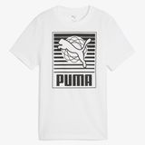 Puma Graphics