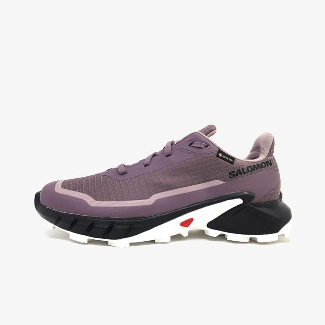 Salomon Alphacross 5 Gtx