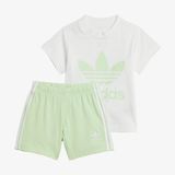 adidas I Trefoil