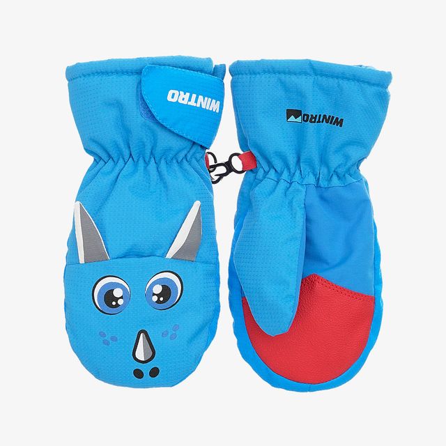 Wintro Ski Gloves