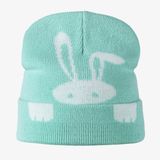 Icepeak Halver