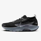 Nike Pegasus Trail 5 Gore Tex