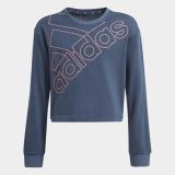 adidas G Logo Swt
