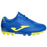Joma Toledo Jr Hg