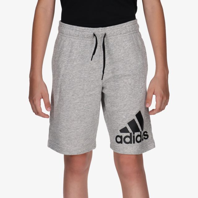 adidas Essentials Big Logo
