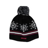 Wintro Snowflake