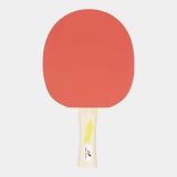 Protouch Tenis Pro 2000