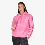 Champion Hooded Sweatshirt
