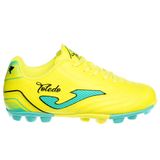 Joma Toledo Jr Hg