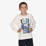 Champion Skate Sweater