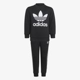 Adidas Trenerka Crew