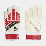 adidas Pre Training