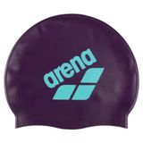 Arena Big Logo
