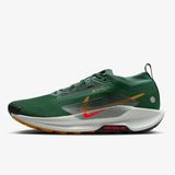 Nike Pegasus Trail 5 Gore Tex