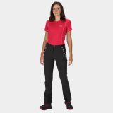 Regatta Mountain Trs III Ash