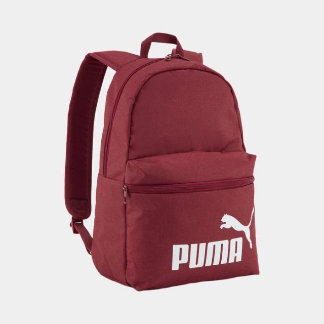 Puma Phase Iii