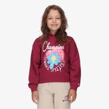 Champion Sweatshirt