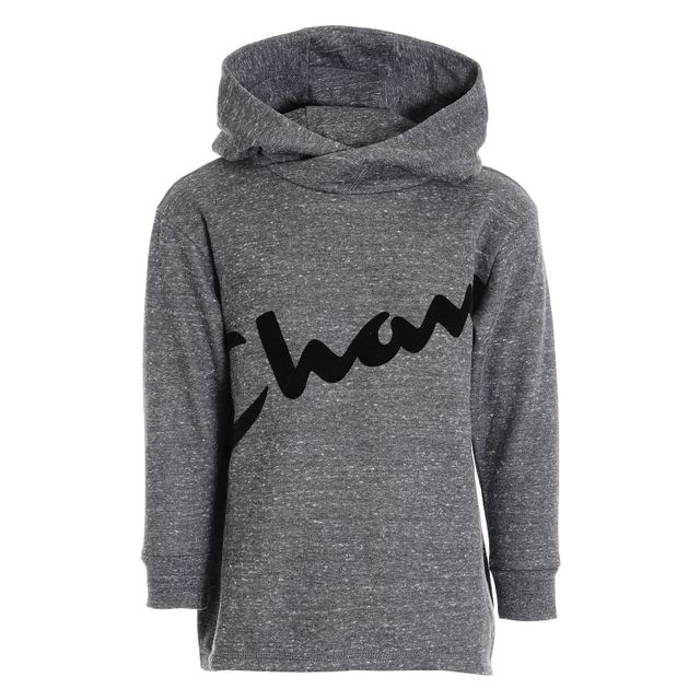 Champion Hooded Sweatshirt