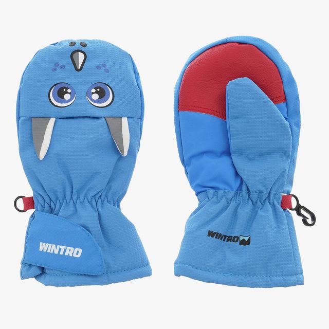 Wintro Wintro Ski Gloves Boys Baby