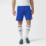 adidas Squad 13 Wb